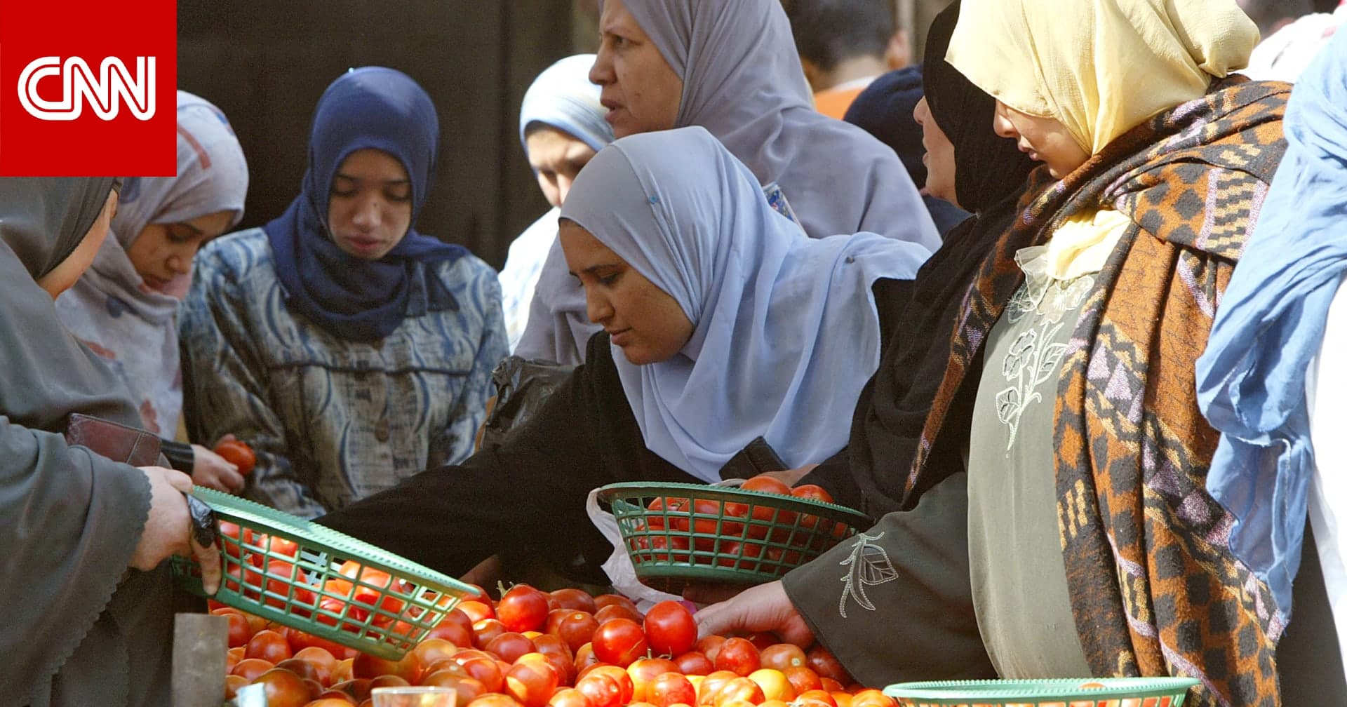 مصر تواجه أزمة أسعار الطماطم: دروس في إدارة الأمن الغذائي